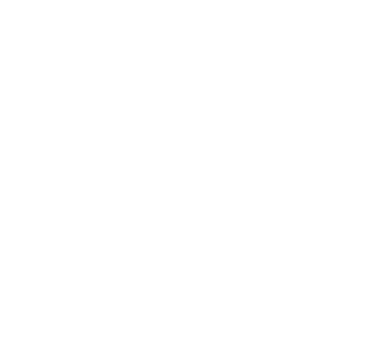 Provider Icon